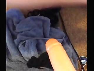 Ass-Slammed by Shemale Fucktoy while Her Cock Creams Your Face