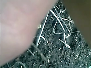 asian ladyboy nymph ae crams her post op pussy