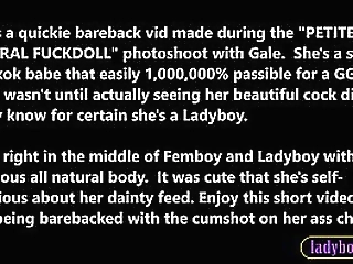 pretty ladyboy shemale anal quickie with the photographer