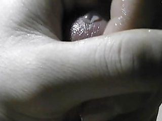 shemale babe gisele araujo sucks on a hard cock