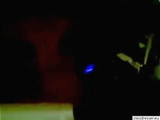 sexy shemale: free shemale porn video 61