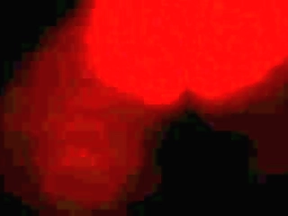 blonde tranny morelia sucks and fucks for cuckold lover