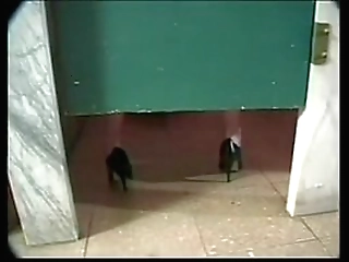 sweet ts bathroom fuck, free guy fucks shemale porn ef