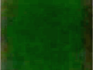 ebony shemale julia sucks and strokes in the tub