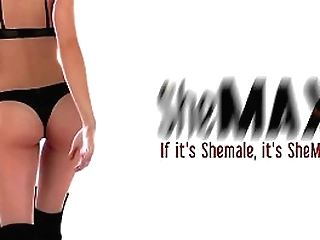 brunette ladyboy exposes perky tits and jerks cock