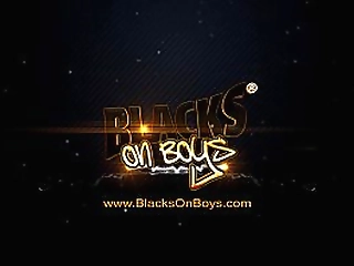 ts kylie maria takes a black cock