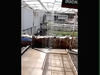 brazilian shemale naty mineirinha oral sex