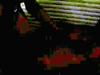 big ass tranny vanessa meclayne