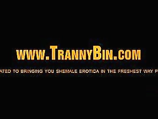 horny black tranny tease kathy