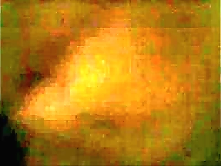 girls sucking sexy trannys compilation 1