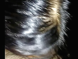 ebony cock sucked off by hot big ass babe before sex