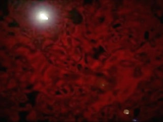 lingerie loving marian phoenix stroking her shecock