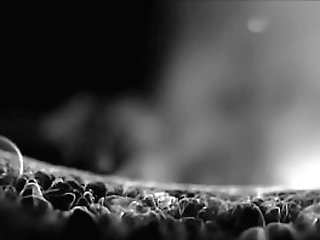 kinky tranny macy a gets tight ass anal raided