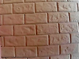 bondage anal sex with asian teen ladyboy after she gave him amazing blowjob