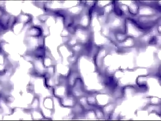 amanda secret 01 &bull_ www.transexluxury.com