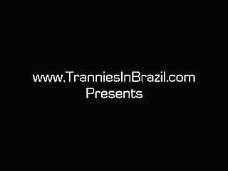 brazilian trannies in heat volume 4