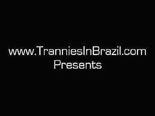 brazilian trannies in heat volume 2