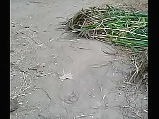 claudia poderi wanks off on the couch