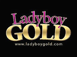 super hot indian shemale dressed in a revealing saree!