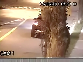 big cock shemale sunny pounded hard and filled with cum