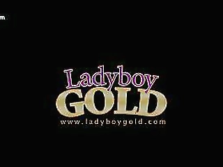 that sexy, shemale twerk show is stunning!