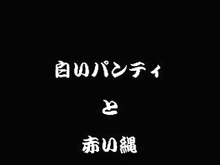 seattle shemale slut pamela dildo play and jerk off