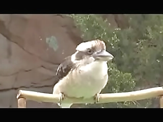 relaxing, sensual, curvy shemale enjoying an alfresco bath