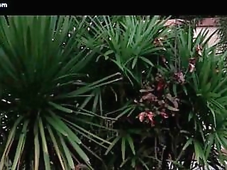 hot shemale babe stripping and tasting a dick