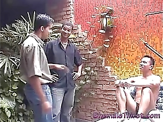 overload hotness and wild blowjob from shemales