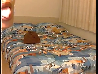 check out ladyboy kitty s intro video full of her sexy photos