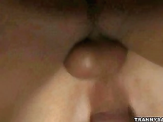 brunette shemale honey getting fucked hard anally