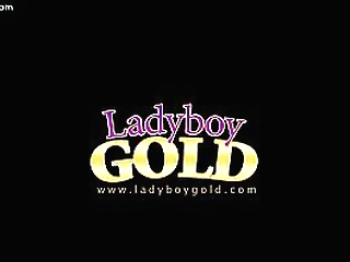 shemale gets to fuck a women and a man