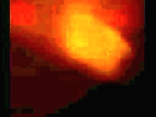 blonde ts claudia poderi pising in the shower