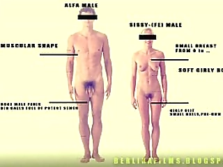 shemale aanatomy(some kind of sissy-trainer)