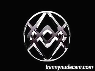 shemale marcelle herrera barebacks hot trans blonde karina abelha