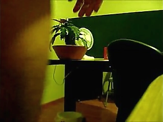 last call leads to stranger fucking in the bar