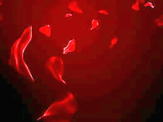 nasty shasha and her shower