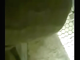 busty pamela gets her ladyboy ass drilled