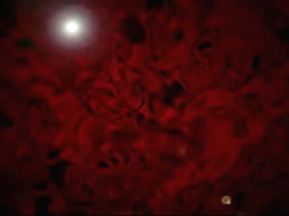 dany gets her anal drilling from super ramon