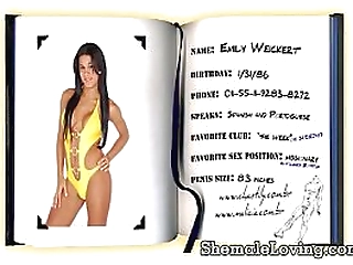 shemale gets nailed in the bathroom