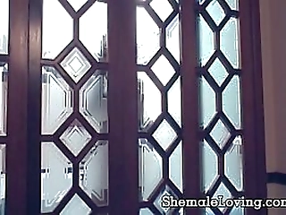 busty shemale gets pounded in her ass