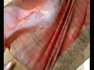 solo shemale jacking on webcam