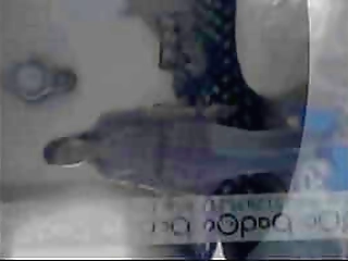 mistress bia gaucha gives her submissive male dog an ass fucking