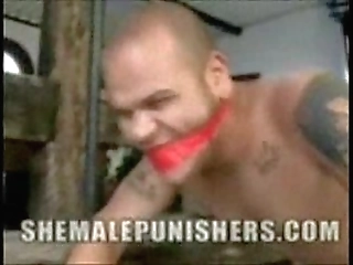 my ass used by tranny doms