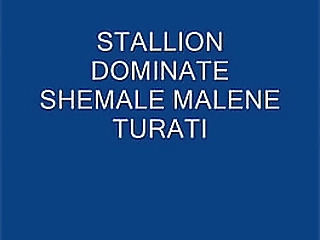 cute ts oom wanks off dick on the toilet