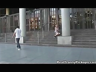 beautiful tranny sex !shemale-shemale-shemale