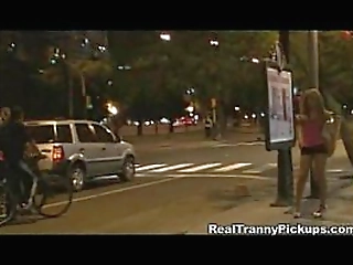 real young tranny hooker !shemale-shemale-shemale